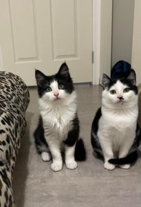Milly and Sebastian